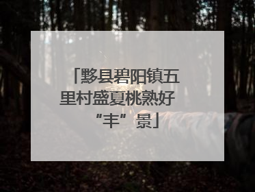 黟县碧阳镇五里村盛夏桃熟好“丰”景