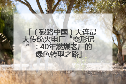 （碳路中国）大连最大传统火电厂“变形记”：40年燃煤老厂的绿色转型之路
