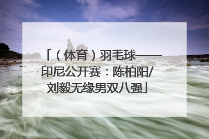 （体育）羽毛球——印尼公开赛：陈柏阳/刘毅无缘男双八强