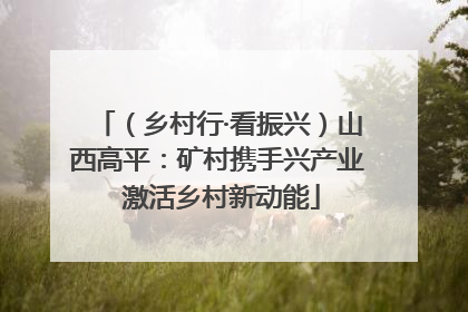 （乡村行·看振兴）山西高平：矿村携手兴产业 激活乡村新动能