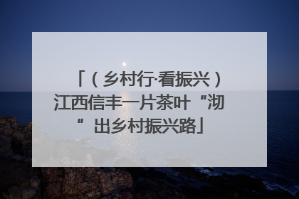 （乡村行·看振兴）江西信丰一片茶叶“沏”出乡村振兴路