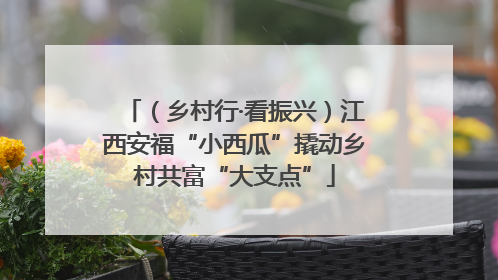 （乡村行·看振兴）江西安福“小西瓜”撬动乡村共富“大支点”