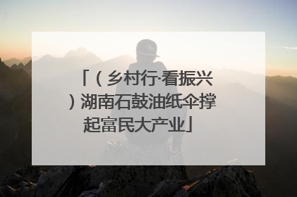（乡村行·看振兴）湖南石鼓油纸伞撑起富民大产业