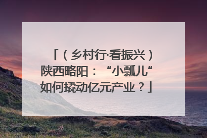 （乡村行·看振兴）陕西略阳：“小瓢儿”如何撬动亿元产业？