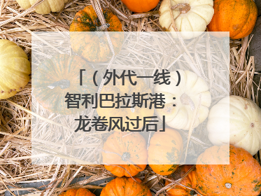 （外代一线）智利巴拉斯港：龙卷风过后