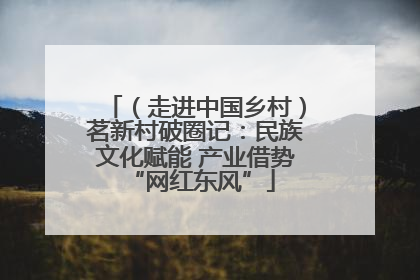 （走进中国乡村）茗新村破圈记：民族文化赋能 产业借势 “网红东风”