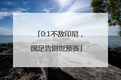 0:1不敌印尼，国足告别世预赛