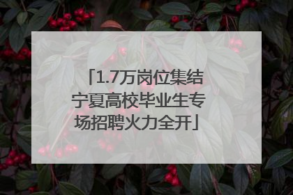 1.7万岗位集结 宁夏高校毕业生专场招聘火力全开