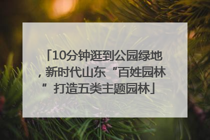 10分钟逛到公园绿地，新时代山东“百姓园林”打造五类主题园林