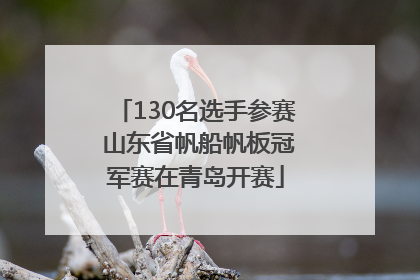 130名选手参赛 山东省帆船帆板冠军赛在青岛开赛