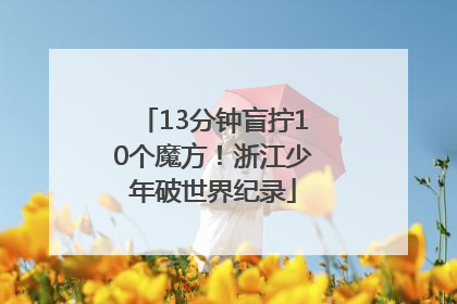 13分钟盲拧10个魔方！浙江少年破世界纪录