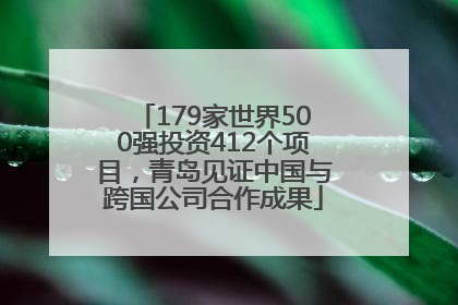 179家世界500强投资412个项目，青岛见证中国与跨国公司合作成果