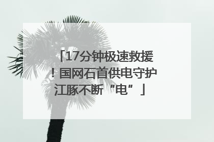 17分钟极速救援！国网石首供电守护江豚不断“电”