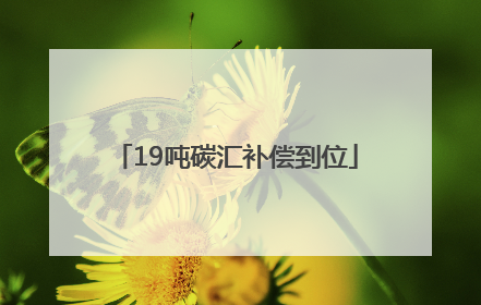 19吨碳汇补偿到位