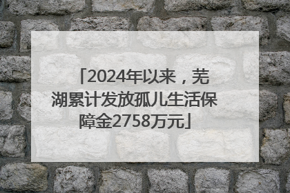 2024年以来，芜湖累计发放孤儿生活保障金2758万元