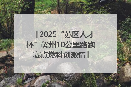 2025“苏区人才杯”赣州10公里路跑赛点燃科创激情