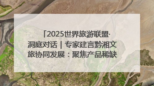 2025世界旅游联盟·洞庭对话｜专家建言黔湘文旅协同发展：聚焦产品稀缺性 深化区域经验共享