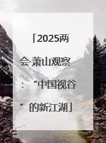 2025两会·萧山观察：“中国视谷”的新江湖