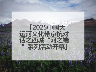2025中国大运河文化带京杭对话之西城“河之端”系列活动开幕