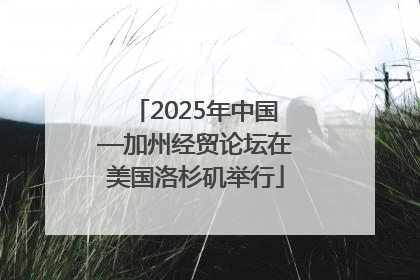 2025年中国—加州经贸论坛在美国洛杉矶举行