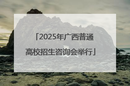 2025年广西普通高校招生咨询会举行