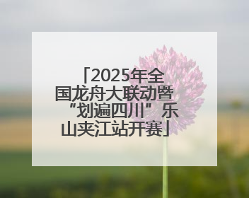 2025年全国龙舟大联动暨“划遍四川”乐山夹江站开赛