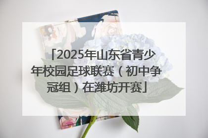 2025年山东省青少年校园足球联赛（初中争冠组）在潍坊开赛
