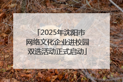 2025年沈阳市网络文化企业进校园双选活动正式启动