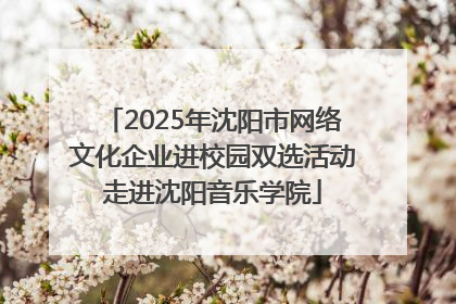 2025年沈阳市网络文化企业进校园双选活动走进沈阳音乐学院