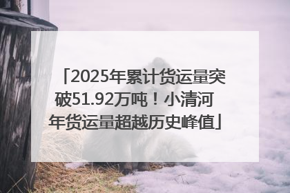 2025年累计货运量突破51.92万吨！小清河年货运量超越历史峰值