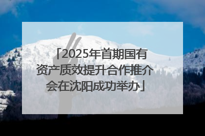 2025年首期国有资产质效提升合作推介会在沈阳成功举办