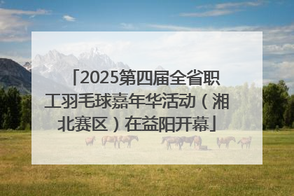 2025第四届全省职工羽毛球嘉年华活动（湘北赛区）在益阳开幕