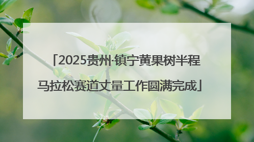 2025贵州·镇宁黄果树半程马拉松赛道丈量工作圆满完成