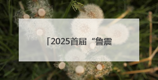 2025首届“鲁震救援杯”绳索救援比赛在山东成功举办