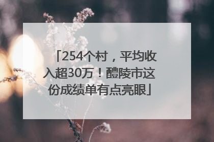 254个村，平均收入超30万！醴陵市这份成绩单有点亮眼