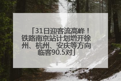 31日迎客流高峰！铁路南京站计划增开徐州、杭州、安庆等方向临客90.5对
