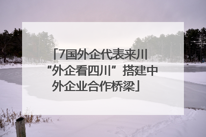 7国外企代表来川 “外企看四川”搭建中外企业合作桥梁