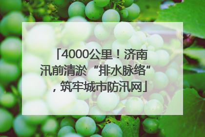 4000公里！济南汛前清淤“排水脉络”，筑牢城市防汛网