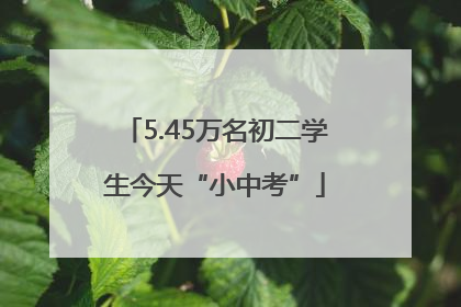 5.45万名初二学生今天“小中考”