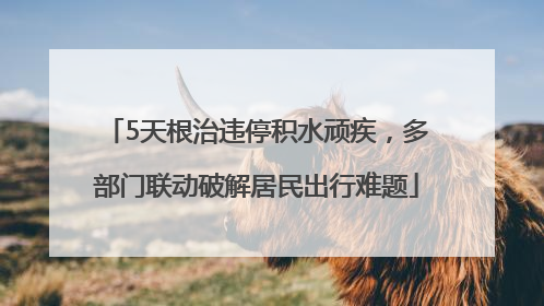 5天根治违停积水顽疾，多部门联动破解居民出行难题