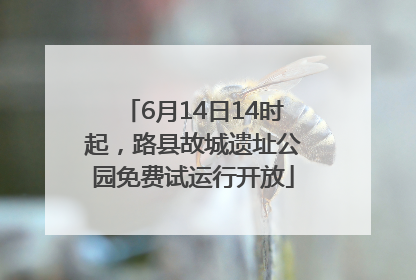 6月14日14时起，路县故城遗址公园免费试运行开放