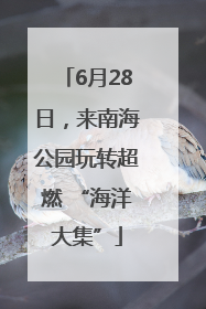 6月28日，来南海公园玩转超燃 “海洋大集”