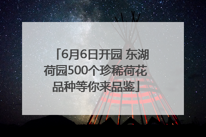 6月6日开园 东湖荷园500个珍稀荷花品种等你来品鉴