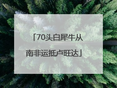 70头白犀牛从南非运抵卢旺达