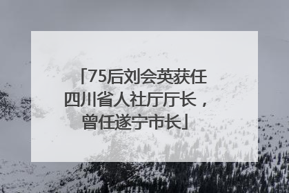 75后刘会英获任四川省人社厅厅长，曾任遂宁市长