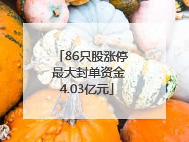 86只股涨停 最大封单资金4.03亿元