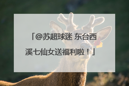 @苏超球迷 东台西溪七仙女送福利啦！