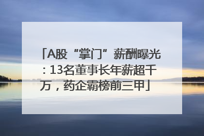 A股“掌门”薪酬曝光：13名董事长年薪超千万，药企霸榜前三甲