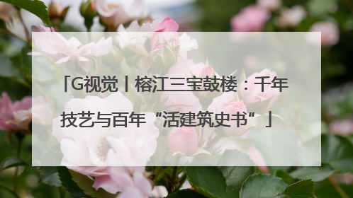 G视觉丨榕江三宝鼓楼：千年技艺与百年“活建筑史书”