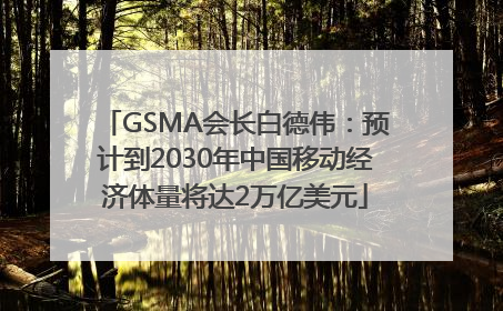 GSMA会长白德伟：预计到2030年中国移动经济体量将达2万亿美元